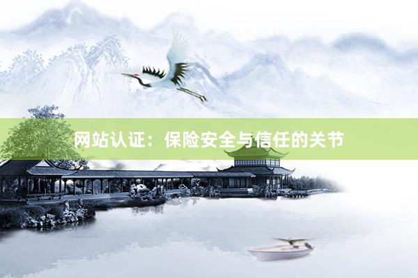 网站认证：保险安全与信任的关节