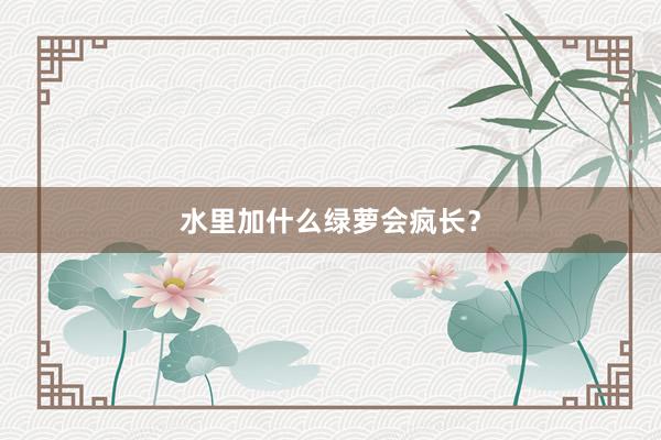 水里加什么绿萝会疯长？