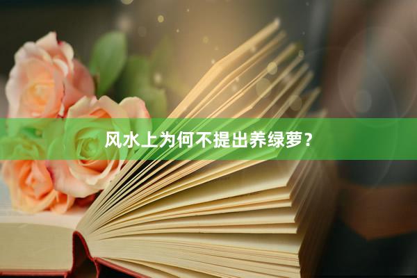 风水上为何不提出养绿萝？